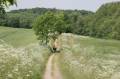 Getting closer to nature implied: roads may change for the worse, but the scenery for the better.