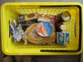 Our purchases for a nice dinner at the campground.